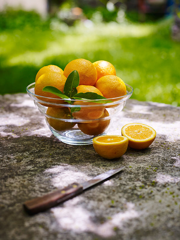 5430-Cotula-large-Oranges-_LoRes