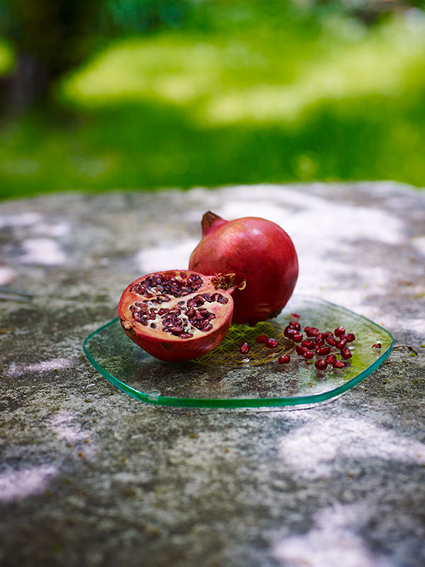 5210-large-Energy-Plate-Fruits-Seeds-outside-_LoResbOBOwkY583v5p