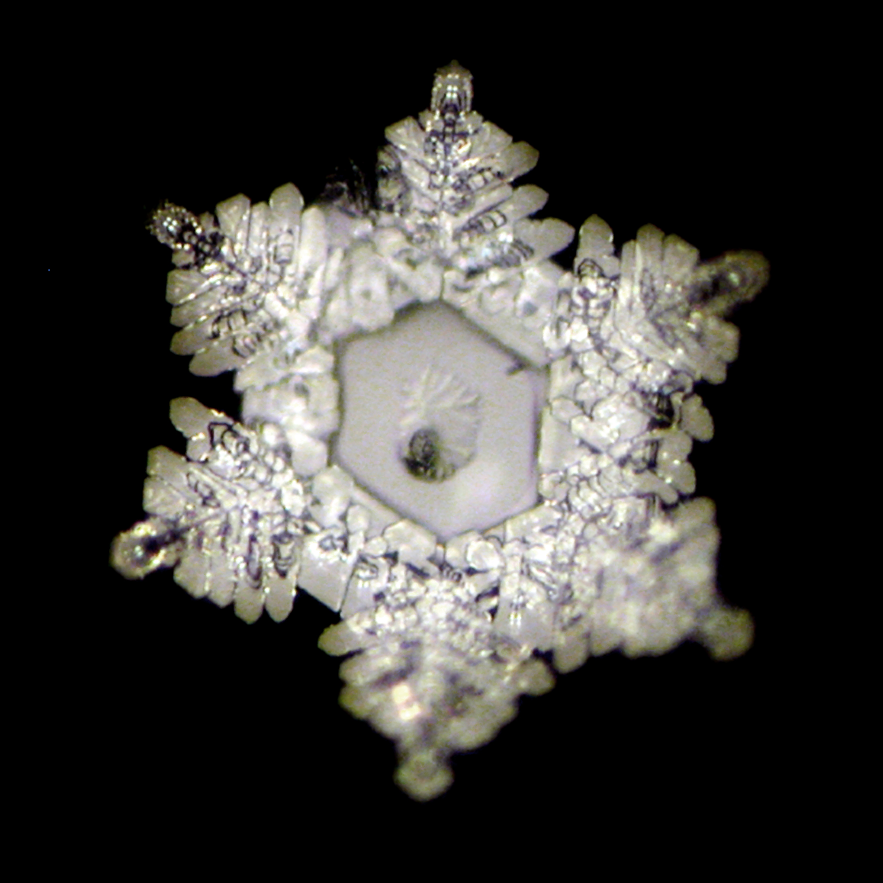 Cadus-Crystal5d3geKdsjREDW