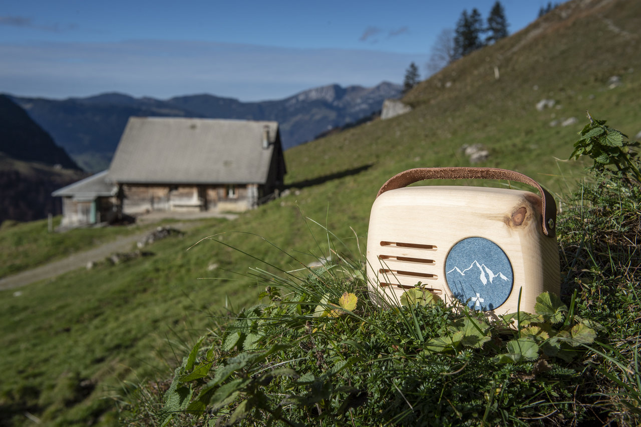 3030_Senn-blau_Hang-1_low-res