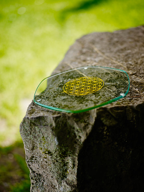 5210-large-Energy-Plate-Nature-_LoRes