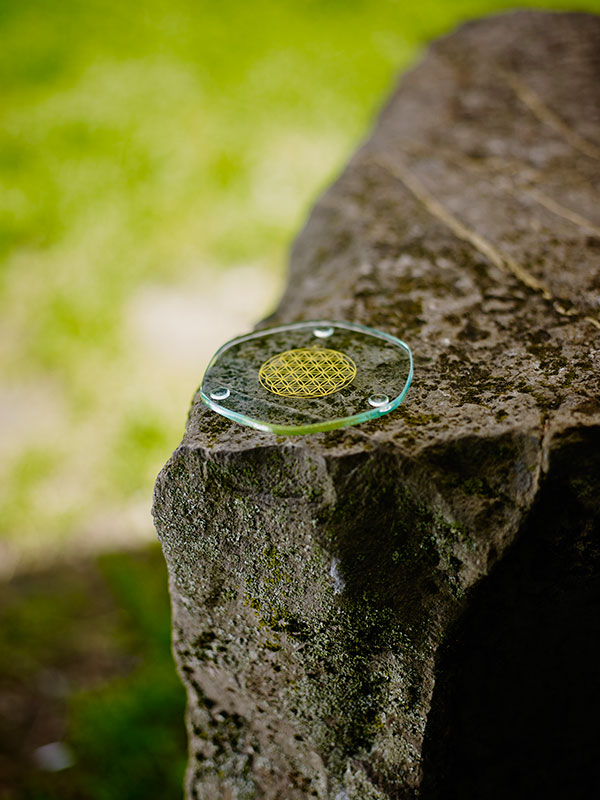 5110-small-Energy-Plate-Nature-_LoResGyk2zXihQrOcI