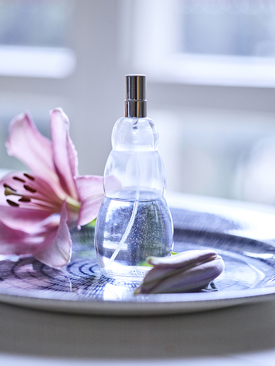 9000-Air-Ion-Sprayer-table-inside-_LoRes