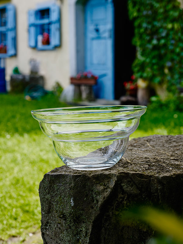 5430-Cotula-large-Nature-_LoRes