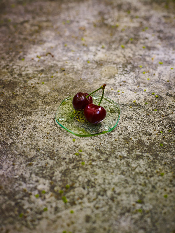 5110-small-Energy-Plate-Cherry-From-Above-_LoRes