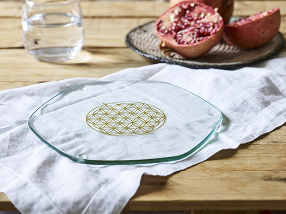 5210-large-Energy-Plate-Table-outside-_LoRes